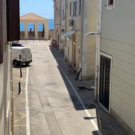 Apartament Old Town-novigrad 20 M From The Sea *